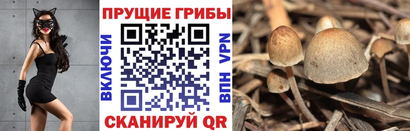 kraken ССЫЛКА  Сургут  даркнет Telegram  Галлюциногенные грибы ЛСД 