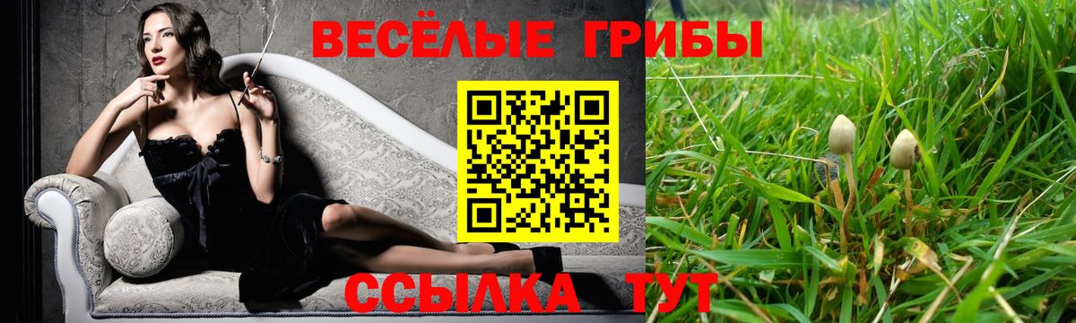 Галлюциногенные грибы Magic Shrooms Сургут